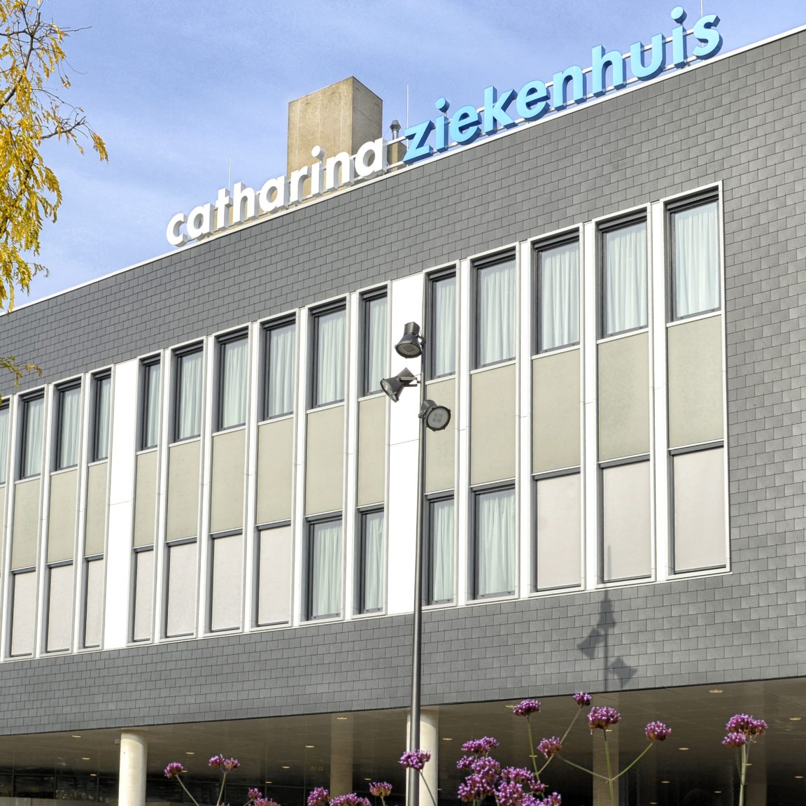 logo_catharina